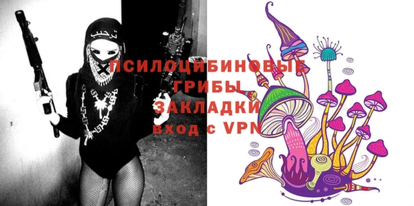 ГАЛЛЮЦИНОГЕННЫЕ ГРИБЫ Аркадак