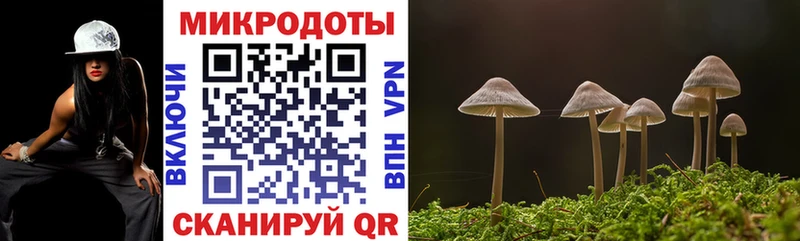 купить  цена  blacksprut ССЫЛКА  Псилоцибиновые грибы Psilocybine cubensis  Цивильск 
